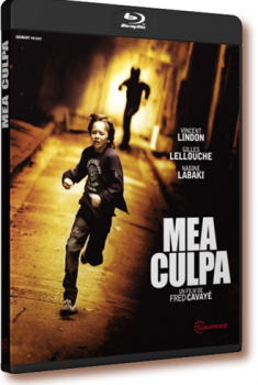 Mea Culpa (2014)