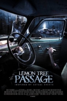 Lemon Tree Passage (2013)