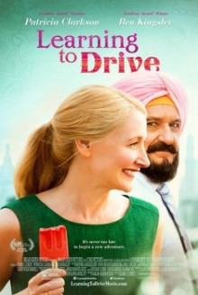 Learning to Drive (2014)