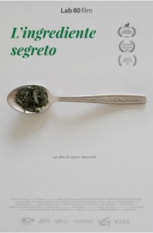 L'ingrediente segreto (2017)