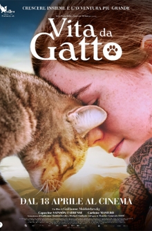 Vita da gatto (2024)